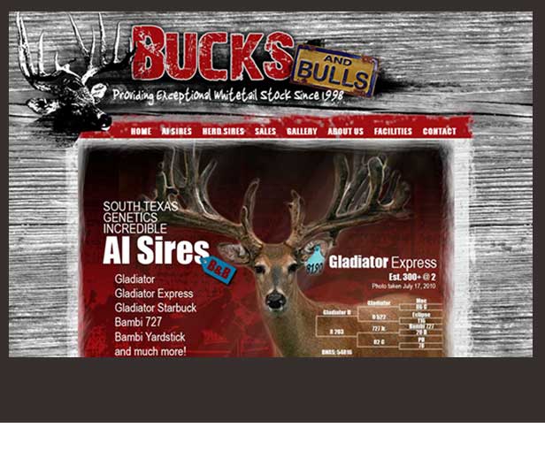 www.bucks-and-bulls.com